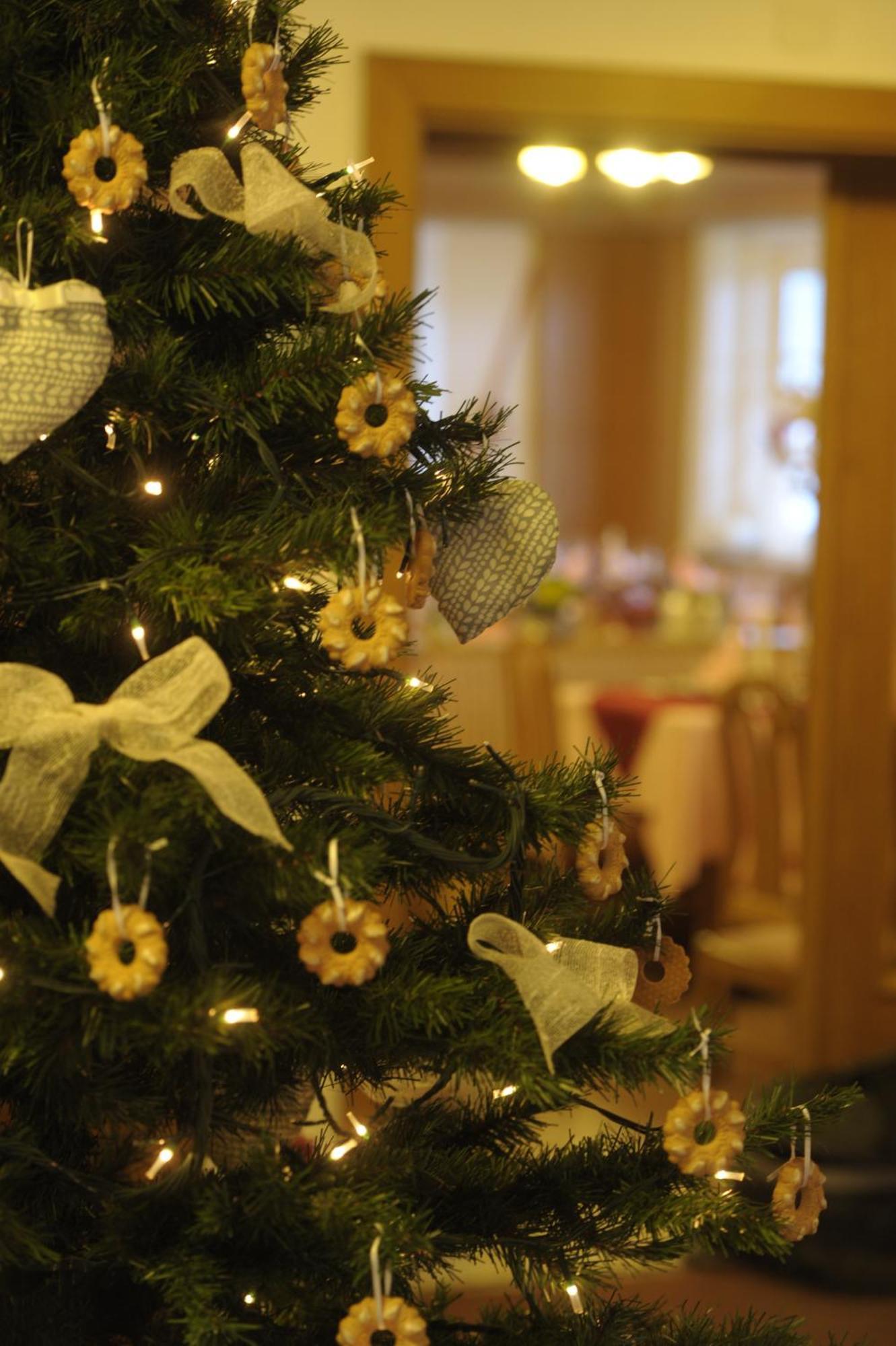 Alpstyle Hotel Albolina Wellness & Beauty Канацеи Экстерьер фото